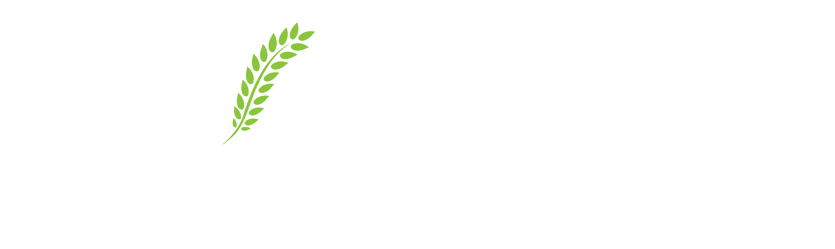 LumenCap Logo